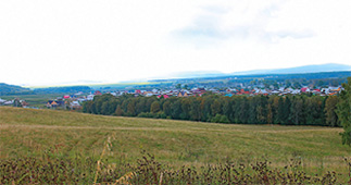 Вид на существующий поселок Элита с южного склона