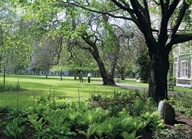 Многочисленные лондонские сады и парки - образец для подражания