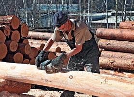 Плотник ошкуривает бревно электрорубанком, снимая не больше 1 см заболони – расположенного под корой защитного слоя древесины