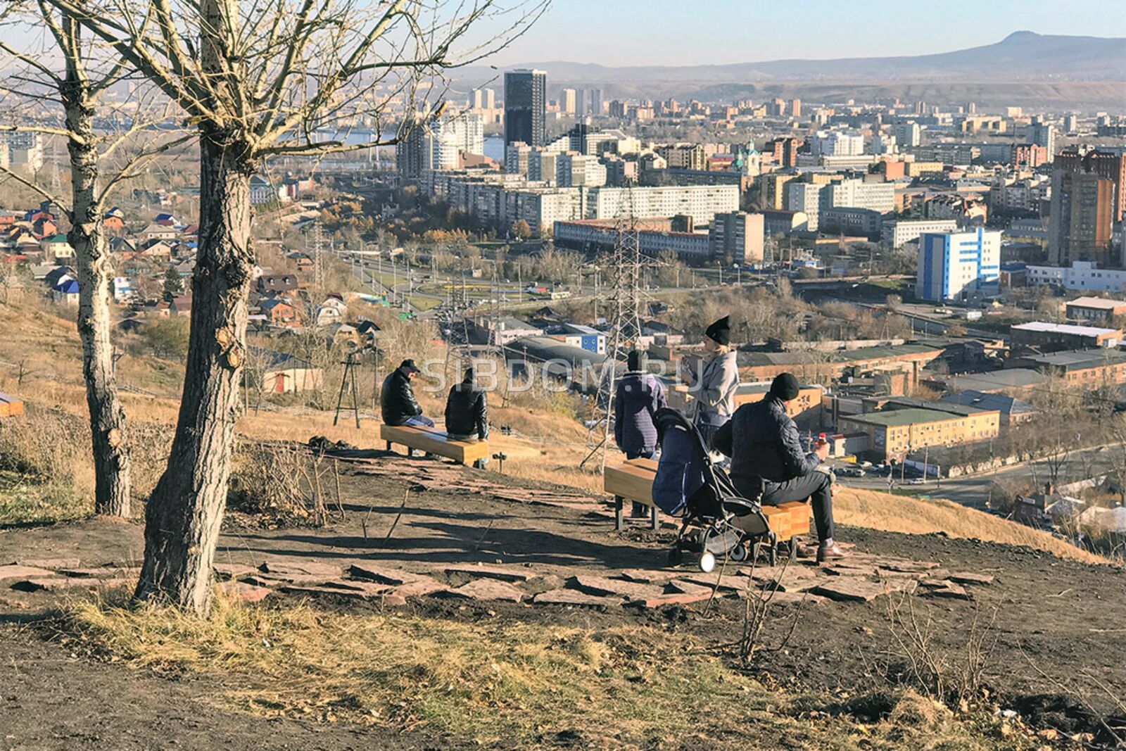 Деревья В Красноярске Фото Деревья В Красноярске Фото