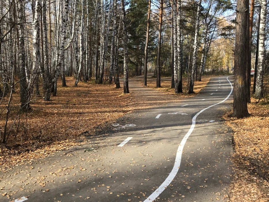 благоустройство парка