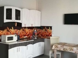 Снять однокомнатную квартиру Немировича-Данченко ул, 28.5  м², 25000 рублей