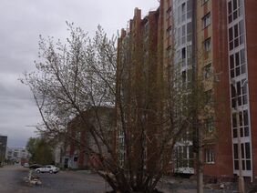 Новостройка Набережная