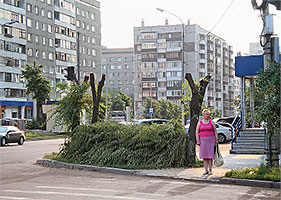 Обрезка деревьев в Красноярске