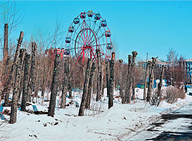 Обрезка деревьев в парке "Троя" на проспекте Свободном (фото из доклада Ольги Смирновой)