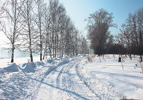 В 15 минутах езды от Красноярска расположены земельные наделы ОПХ «Красноярское»